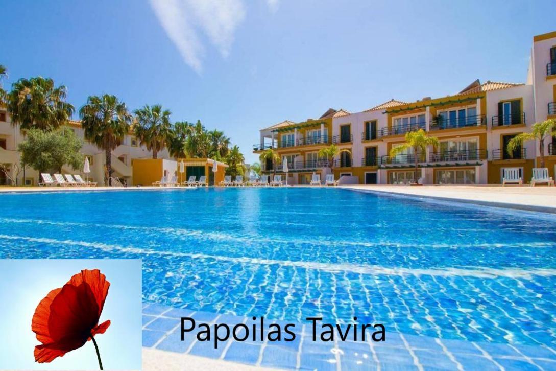 Papoilas * Tavira